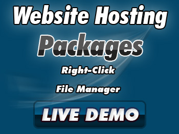 Website Hosting